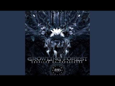 Pronoia (Original Mix)