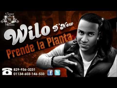 Wilo D' New - Prende La Planta (Prod. Clima) ►NEW Dembow 2012