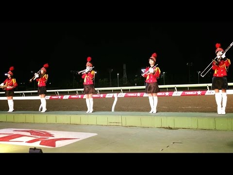 2016.12.29東京大賞典(GⅠ)⑥東京トゥインクルファンファーレ②12レース＠大井競馬場