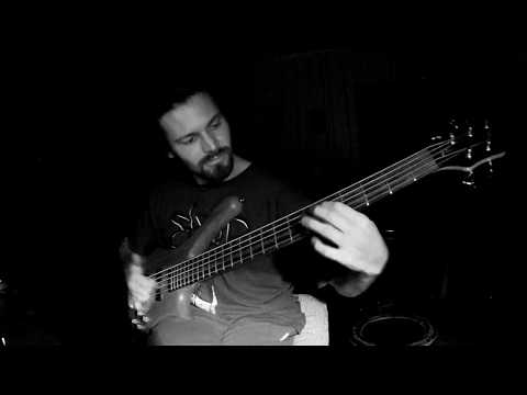 Warwick Fortress Rockbass Slap lick