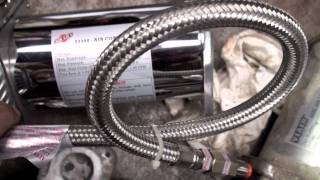 had a problem with my horns today