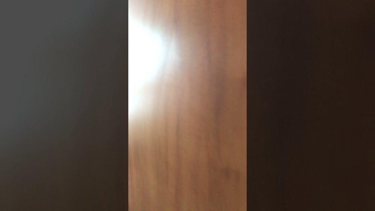 Carnival Elation - Cabin M186 - Video 1