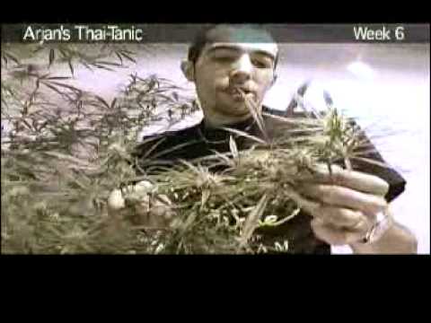 Green House Arjan's Thai-Tanic Grow with Japanese Subtitles