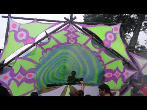 Mad scientist live - Serendip Valley