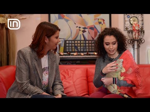 Life is Better with Friends (06.12.2017) - Bashkëjetesa me një iguana