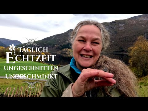 Echtzeit: 🌿Bärlauch, 👩‍🌾Besuch & 🎗️Erfahrungsbericht Harnblasen OP, Operation mit Spinalanästhesie