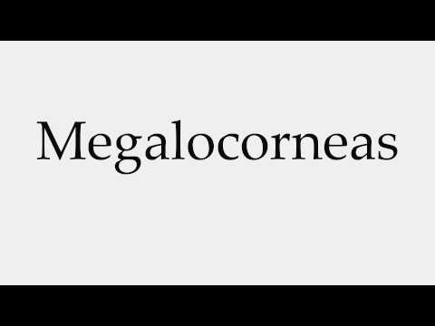 How to Pronounce Megalocorneas