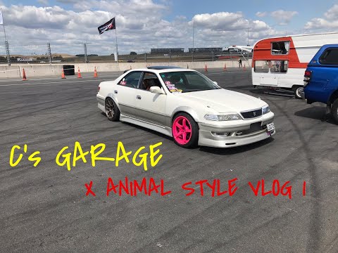 Danrito Animal style Vlog takeover!!