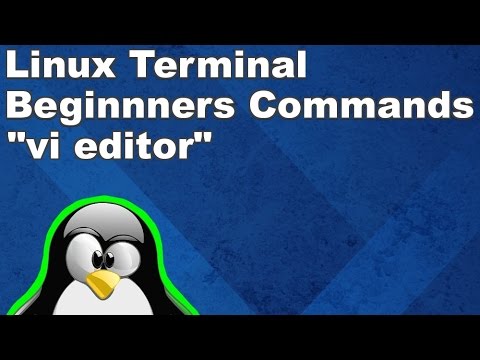 Linux Terminal for Beginners Commands 18: vi editor
