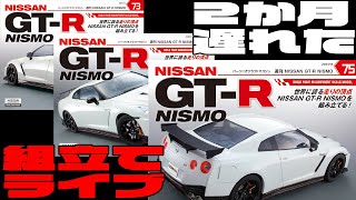 【デアゴGTR】73・74・75　1月分完了