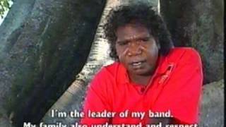 yothu yindi tribal voice and mainstream