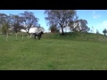 Fun In The Sun