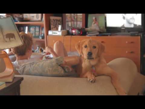 tell me how i die   Jace Norman