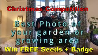 Christmas Competition EXTENDED - WIN FREE SEEDS + Exclusive Badge