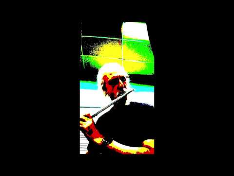 Mariposas ( free  flute impro)