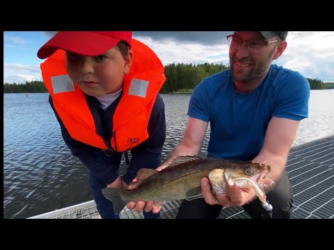 Uusi kalakingi on löytynyt - Kuhankalastus - Pilkkiminen - Jigikalastus - Kalastus - Kuha