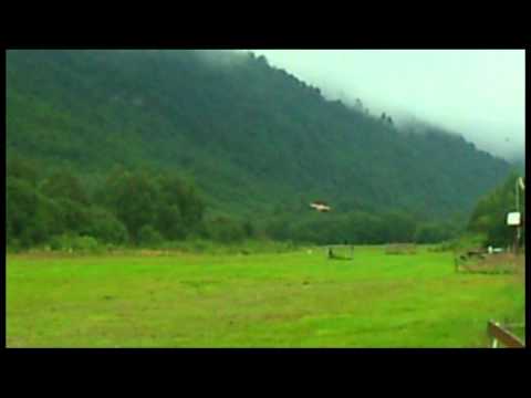 Pilot-RC Decathlon 40%  DLE  111 Engine.