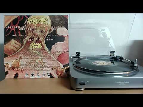 Archagathus - Assur - split 12 inch