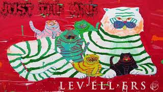 The Levellers - Just The One