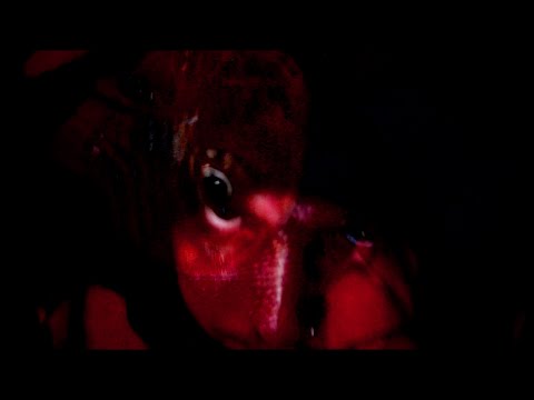 ISOLATION FREESTYLE - Danny Seth