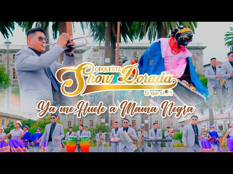 YA ME HUELE A MAMA NEGRA - SHOW DORADA (Official Video 4K)