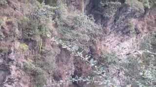 preview picture of video 'Bungy Jumping in Nepal'