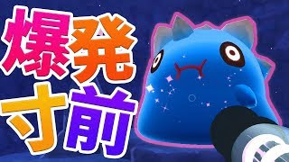 ゴールデンスライムを狙え！ゴルド、爆発す。 #25【Slime Rancher】スライムランチャー 実況プレイ