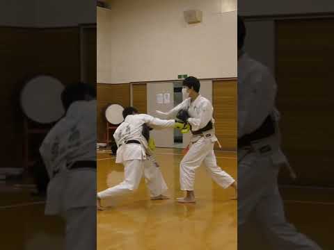 中級者への道 前拳(ジャブ)のモーションを消せてないリスク #shorts #日本拳法 #nipponkempo #格闘技 #sports