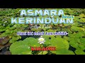 DJ ASMARA KERINDUAN MEYDA RAHMA KARAOKE