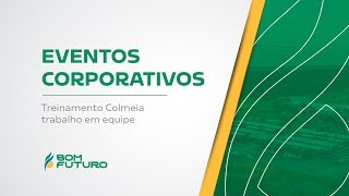 Treinamento Colmeia - Trabalho em Equipe