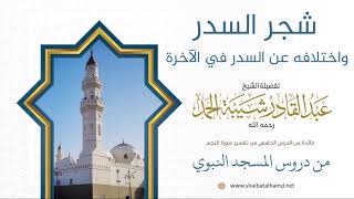 صورة 72. شجر السدر واختلافه عن السدر في الآخرة - الشيخ عبدالقادر شيبة الحمد رحمه الله