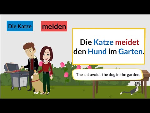 Deutsch lernen leicht gemacht: Die wichtigsten Wörter und Sätze für den Alltag verstehen ! | 80 |