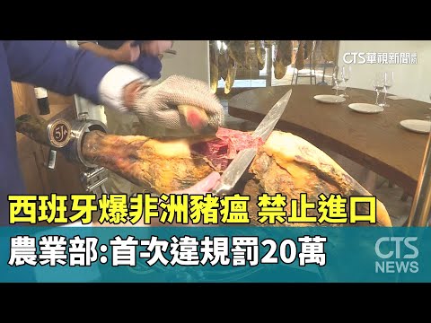 西班牙爆非洲豬瘟　農業部禁止進口：首次違規罰20萬