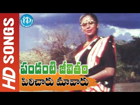 Pilicharu Maavaru Video Song - Pandanti Jeevitham Movie || Shoban Babu, Sujatha, Vijaya Santhi
