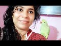 Maine Kisiko Dil De Diya Maine Kisiko Dil De Diya Status