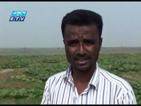 পতিত জমিতে আবাদ, বেকারদের কাজে লাগানোর উদ্যোগ | ETV News