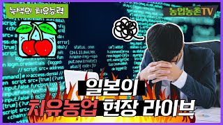 치유농장 파프야노 사토 1 (북해도)