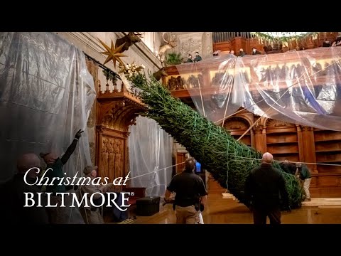 Christmas at Biltmore: Virtual Tree Raising 2021