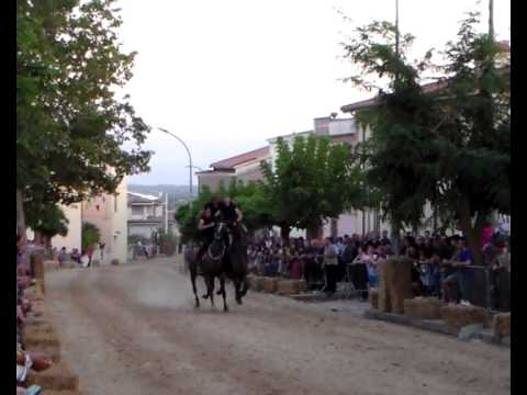 pariglie  silanus 11.08 .2014