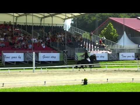 WM 2011 - Teigur vom Kronshof - www.isibless.de