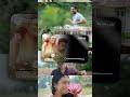 Minnalvala Song Narivetta Movie Sid Sriram Tovino Thomas Whatsappstatus Shadow Creation 01