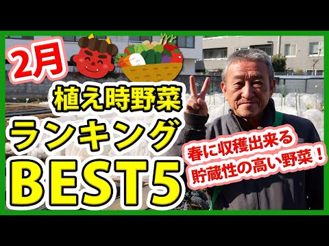 , title : '家庭菜園や農園栽培で2023年2月おすすめ野菜ランキングBEST５！今から植えて春に収穫！/Best 5 vegetables recommended for planting in February'