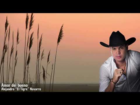 Alejandro “El Tigre” Navarro - Amor del Bueno (Video Audio Oficial)