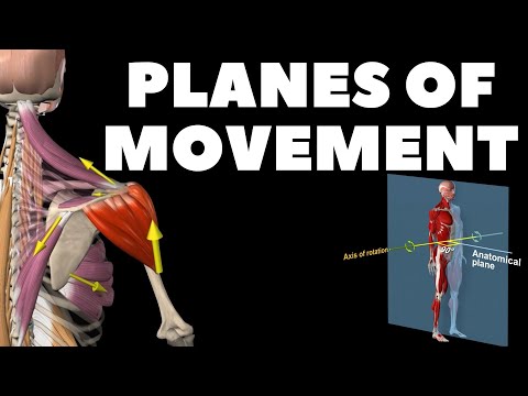 Planes of movement
