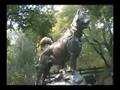 Balto Statue in Central Park 