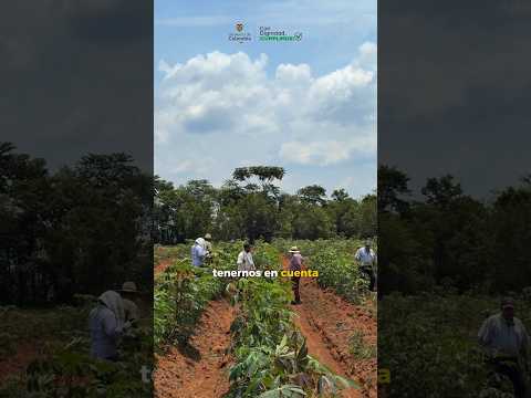 Predio La Siberia, en San Carlos de Guaroa, Meta.