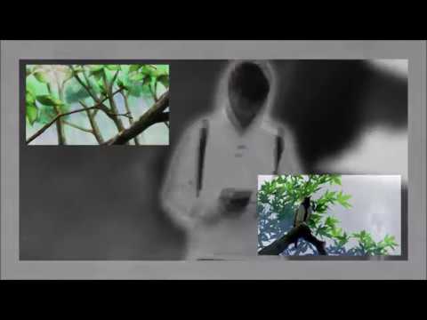 efix "testament" w/ deadgreenbird (music video)