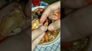 Download lagu CARA MAKAN BUYUTUK/UNDUR UNDUR LAUT #cooking #food #resep #BUYUTUK #UNDURUNDURLAUT mp3 Download lagu CARA MAKAN BUYUTUK/UNDUR UNDUR LAUT #cooking #food #resep #BUYUTUK #UNDURUNDURLAUT mp3