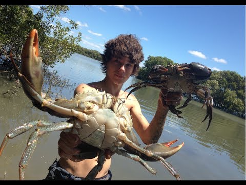 EP 3 - HUGE MUDCRABS Caught BAREHANDED - Catch n Cook - With BUTTER LEMON Sauce! | TDK