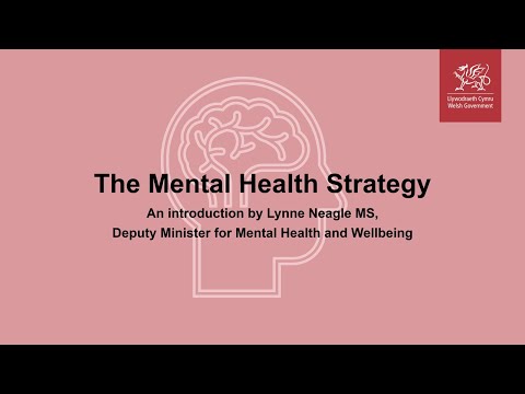 The Mental Health Strategy for Wales; vision statements and cross-cutting principles.